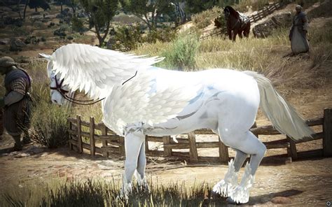 bdo horses